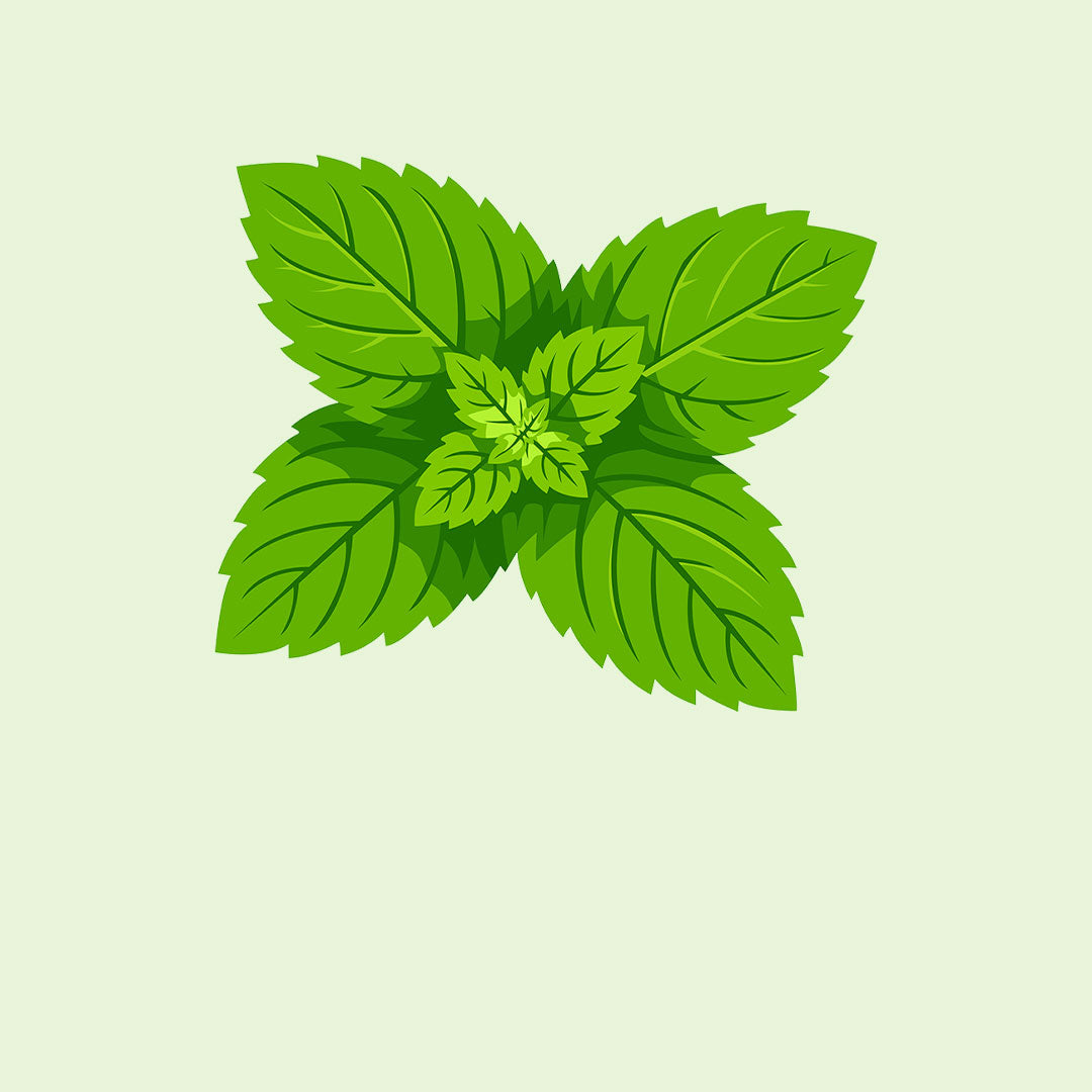 MINT