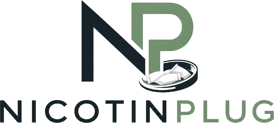  Nicotinplug
